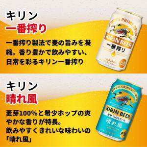敬老の日 国産ビール 飲み比べ 12本セット ...の詳細画像4