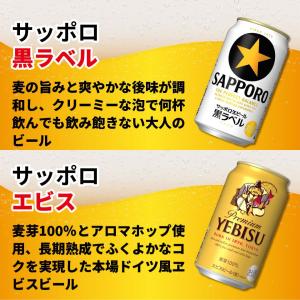 敬老の日 国産ビール 飲み比べ 12本セット ...の詳細画像5