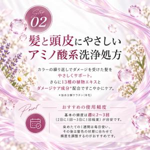 【2個セット】フィヨーレ クオルシア カラーシ...の詳細画像2