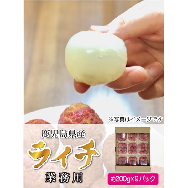 生ライチ 鹿児島県産 国産 生産販売 業務用 9パック入り