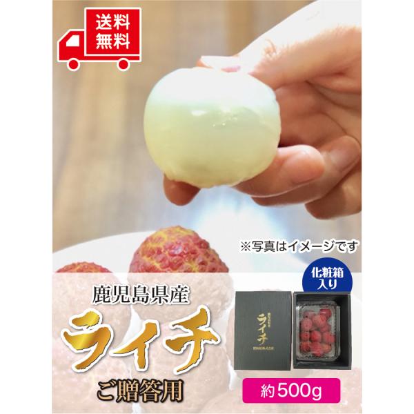 【完売】生ライチ鹿児島県産 国産 生産販売 化粧箱入り 約500g