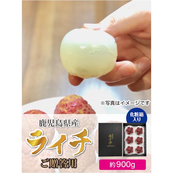 生ライチ 鹿児島県産 国産 生産販売 化粧箱入り 約900g