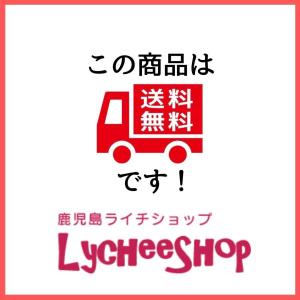 ライチ苗木販売(フォンフェイ)4年もの(取り木苗木)の詳細画像3