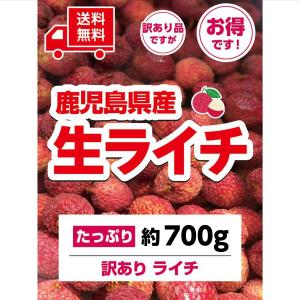国産ライチ販売ショップ - Yahoo!ショッピング