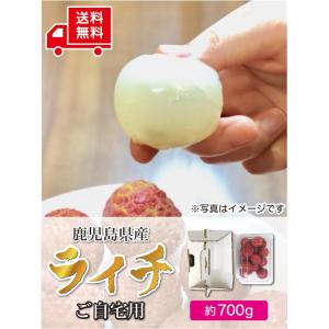 国産ライチショップ - Yahoo!ショッピング