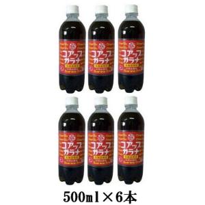 北海道限定 小原　オバラ　コアップガラナ 500ml×6本｜lyckamart