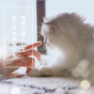 ペット 遺毛 ケース チャーム 名入れ 無料 ...の詳細画像3