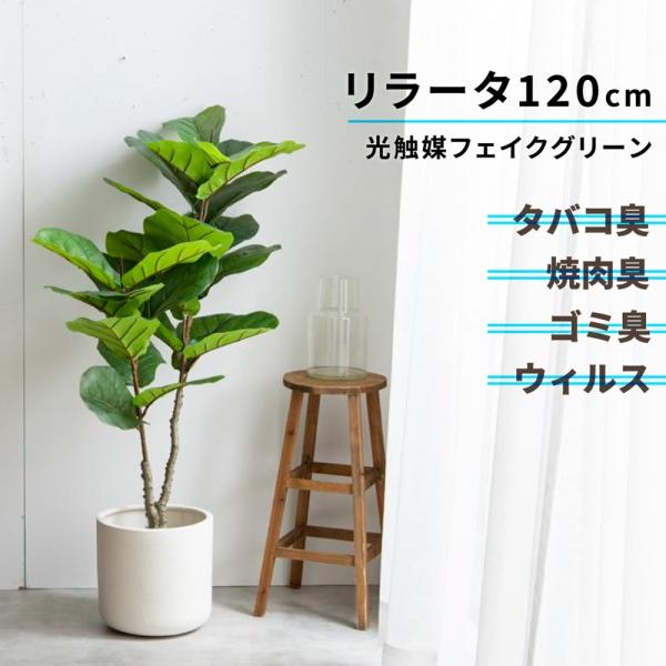 フェイクグリーン 光触媒 観葉植物 人工観葉植物 リラータ カシワバゴム 造花 インテリア アレルギ...