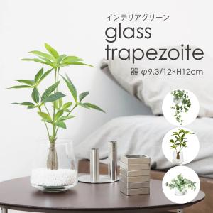 フェイクグリーン 観葉植物 人工観葉植物 造花 ガラス花瓶付き インテリア アレルギー対策 水やり不要 シュガーバイン パキラ アイビー プレゼント