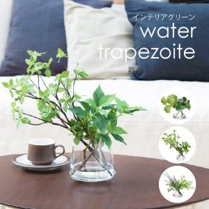 フェイクグリーン 光触媒 光の楽園 インテリアフレッシュアセビ1.5m