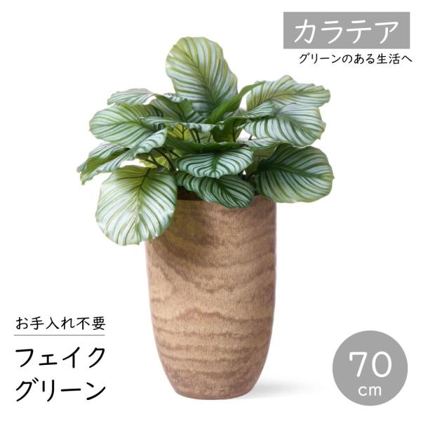 フェイクグリーン カラテア ウッドプランター 高さ70cm おしゃれな観葉植物  リアル インテリア...