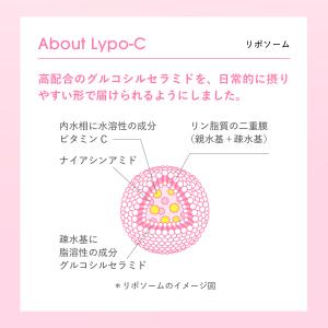 Lypo-C 公式 リポ・カプセル ビタミンC...の詳細画像4