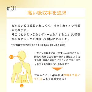 ビタミンC Lypo-C 公式 リポカプセルビ...の詳細画像5