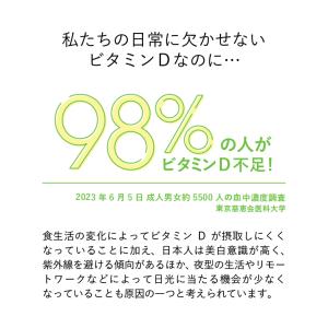 ビタミンD3 ビタミンC Lypo-C 公式 ...の詳細画像5