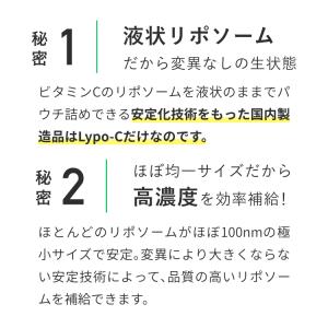 ビタミンD ビタミンC Lypo-C 公式 リ...の詳細画像4