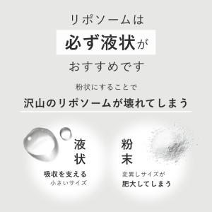 ビタミンC Lypo-C 公式 リポカプセルビ...の詳細画像3
