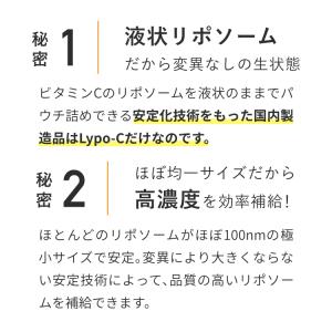 ビタミンC Lypo-C 公式 リポカプセルビ...の詳細画像4