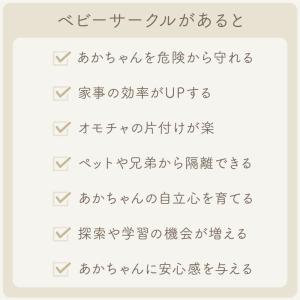 (改良版)(レビュー投稿で1年保証) ライシン...の詳細画像1