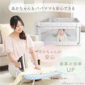 (改良版)(レビュー投稿で1年保証) ライシン...の詳細画像2