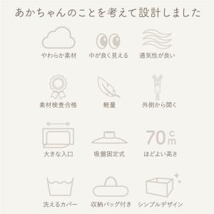 (改良版)(レビュー投稿で1年保証) ライシン...の詳細画像3