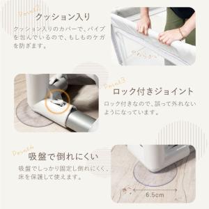 (改良版)(レビュー投稿で1年保証) ライシン...の詳細画像5