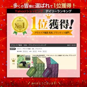 ライシン ブランケット ミニ リバーシブル 膝...の詳細画像2