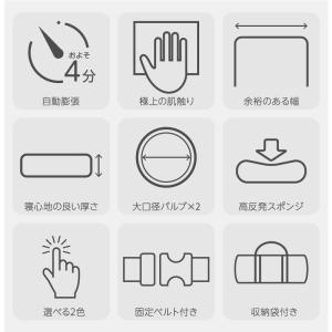(レビュー投稿で1年保証) ライシン インフレ...の詳細画像1