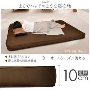 (レビュー投稿で1年保証) ライシン インフレ...の詳細画像3