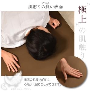 (レビュー投稿で1年保証) ライシン インフレ...の詳細画像2