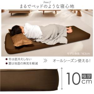 (レビュー投稿で1年保証) ライシン インフレ...の詳細画像3