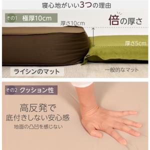 (レビュー投稿で1年保証) ライシン インフレ...の詳細画像4