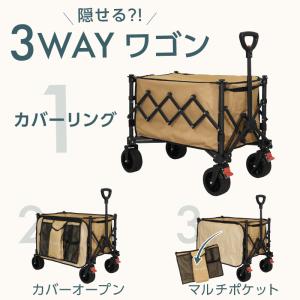 (レビュー投稿で2年保証) ライシン アウトド...の詳細画像1