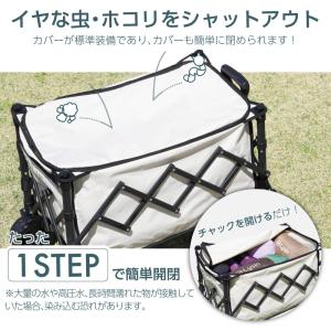 (レビュー投稿で2年保証) ライシン アウトド...の詳細画像2