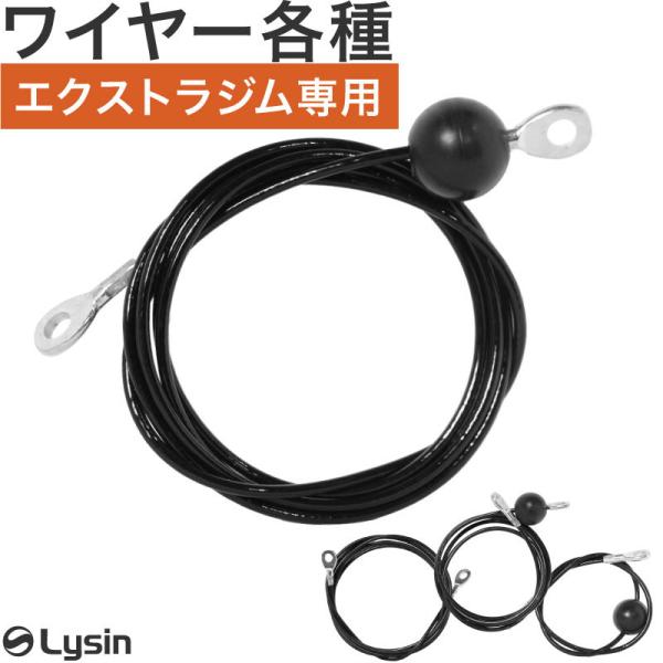 ライシン エクストラジム 専用 ワイヤー