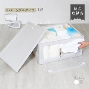 （レビュー投稿で1年保証）（特注品） ライシン 折りたたみ コンテナボックス キッチン 収納 ボックス 43L 1箱のみ