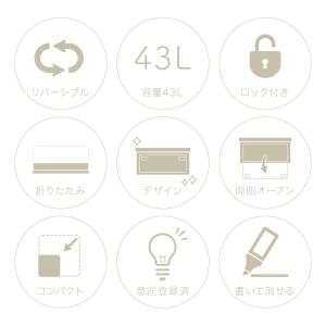 (レビュー投稿で1年保証)(特注品) ライシン...の詳細画像1