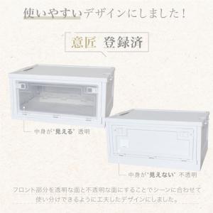 (レビュー投稿で1年保証)(特注品) ライシン...の詳細画像2
