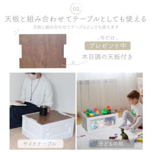 (レビュー投稿で1年保証)(特注品) ライシン...の詳細画像4