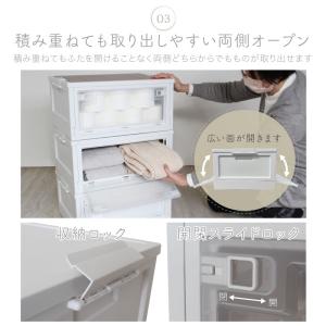 (レビュー投稿で1年保証)(特注品) ライシン...の詳細画像5