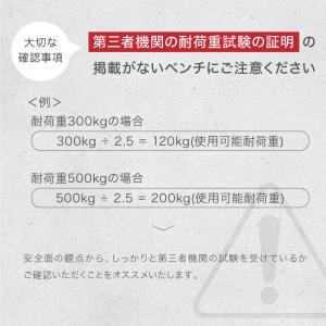 (レビュー投稿で2年保証) ライシン インクラ...の詳細画像4
