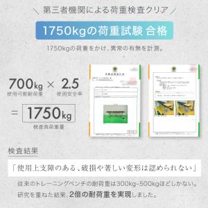 (レビュー投稿で2年保証) ライシン インクラ...の詳細画像5