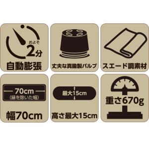 (レビュー投稿で1年保証) ライシン キャンプ...の詳細画像2