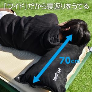 (レビュー投稿で1年保証) ライシン キャンプ...の詳細画像3