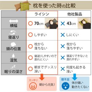 (レビュー投稿で1年保証) ライシン キャンプ...の詳細画像4