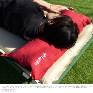 (レビュー投稿で1年保証) ライシン キャンプ...の詳細画像5