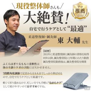 (レビュー投稿で1年保証) ライシン ソフト ...の詳細画像3