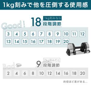 (レビュー投稿で2年保証) ライシン ヘリック...の詳細画像5