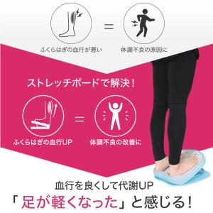 (レビュー投稿で1年保証) ライシン ストレッ...の詳細画像3