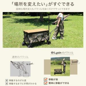 ライシン キャリーワゴン Eシリーズ 専用 パ...の詳細画像5