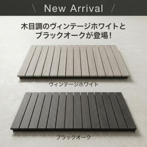 ライシン アウトドアワゴン Eシリーズ 1段タ...の詳細画像1